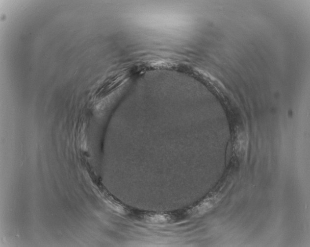 X0000088030513200705251120