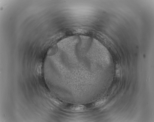 X0000088030514200705251120