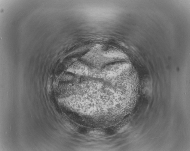 X0000088030515200705251120