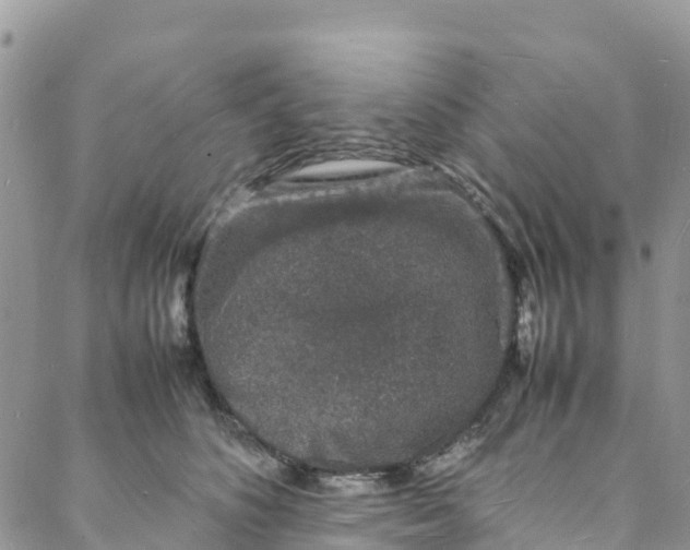 X0000088030516200705251120