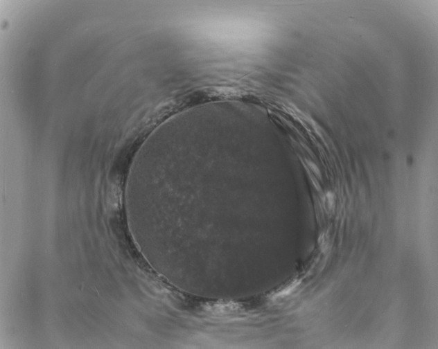 X0000088030517200705251120