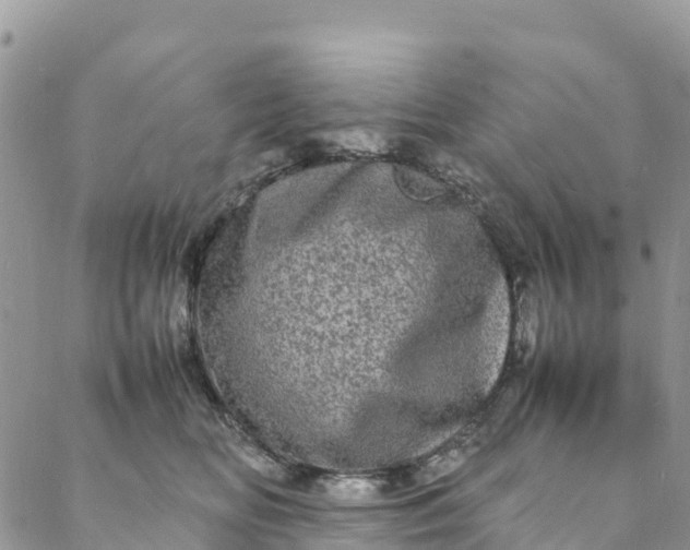 X0000088030518200705251120