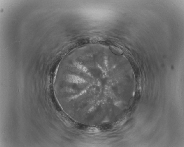 X0000088030519200705251120