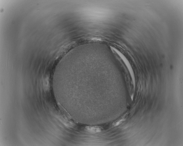 X0000088030520200705251120