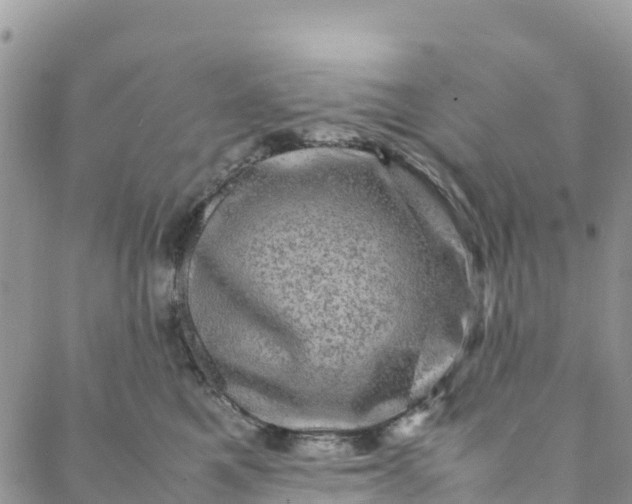 X0000088030521200705251120