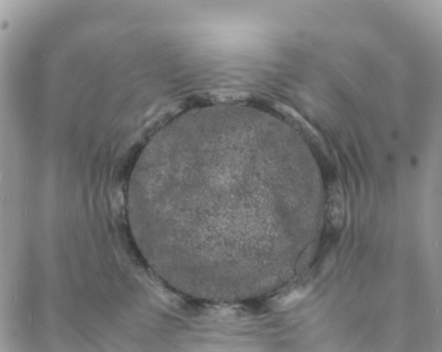 X0000088030523200705251119