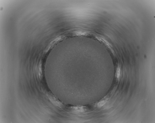 X0000088030524200705251119