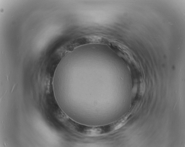 X0000088030525200705251119