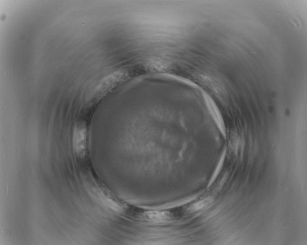 X0000088030526200705251119