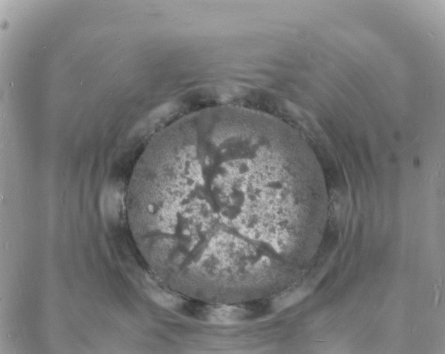 X0000088030527200705251119