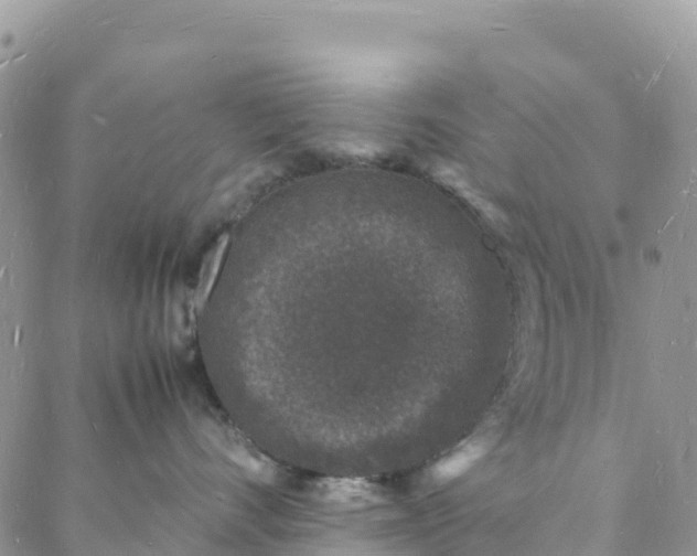 X0000088030528200705251119