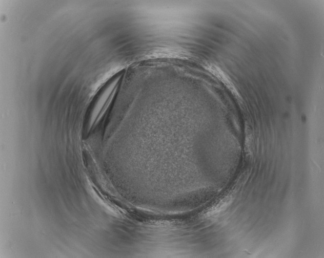 X0000088030530200705251119