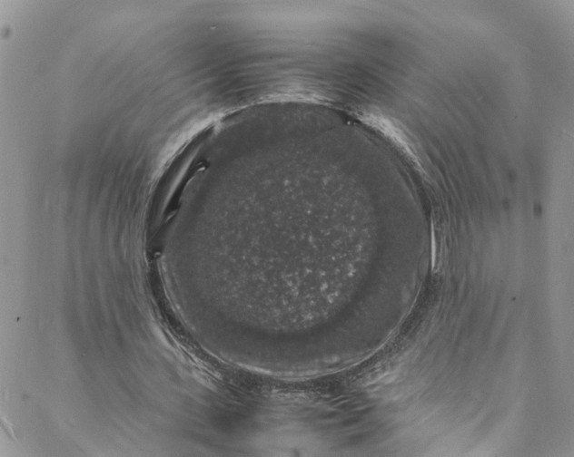 X0000088030531200705251119