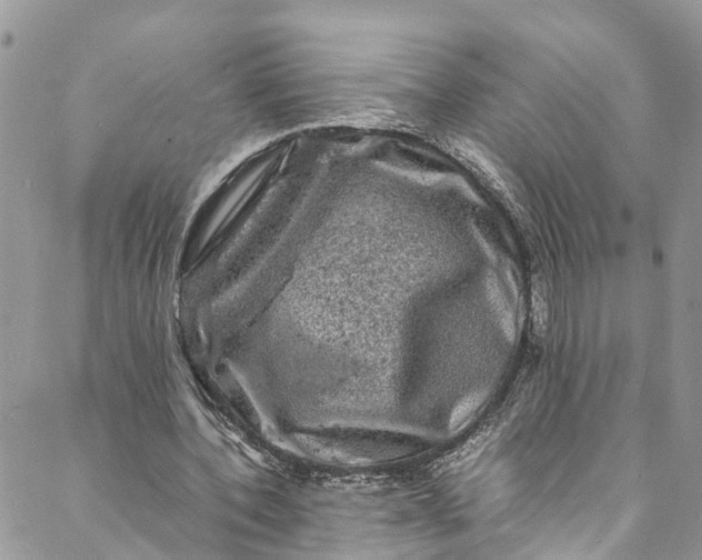 X0000088030532200705251119