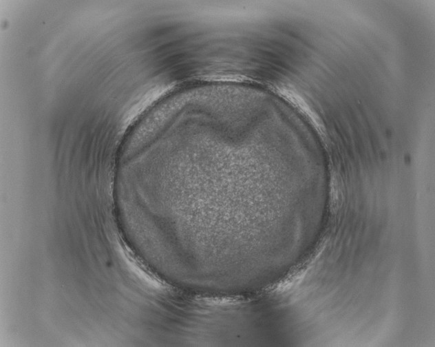 X0000088030533200705251119