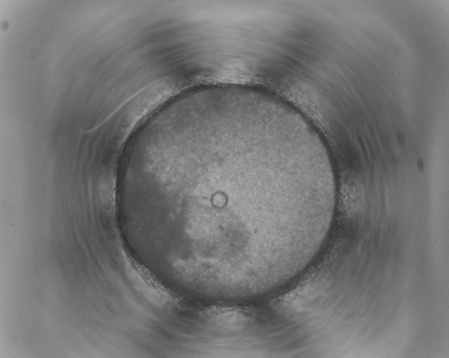 X0000088030534200705251119