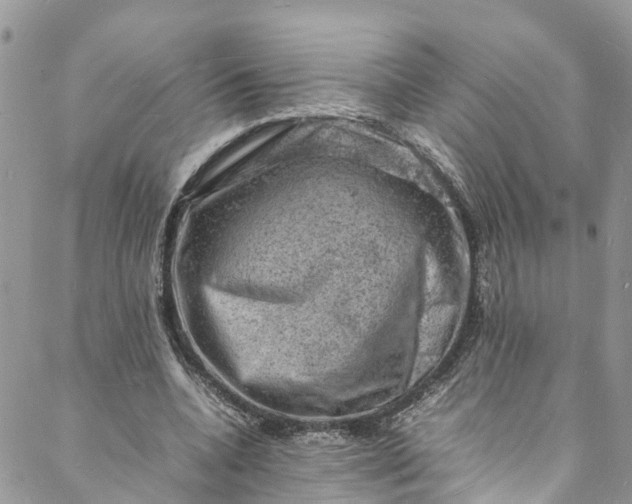 X0000088030536200705251119