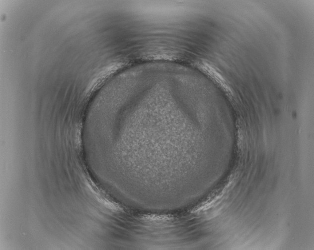 X0000088030537200705251119