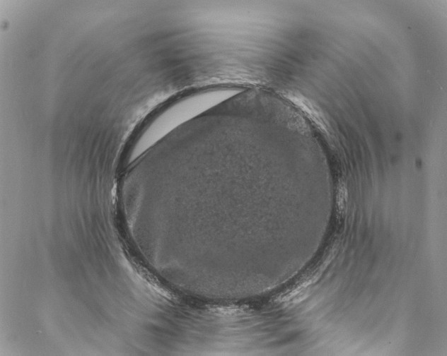 X0000088030540200705251119