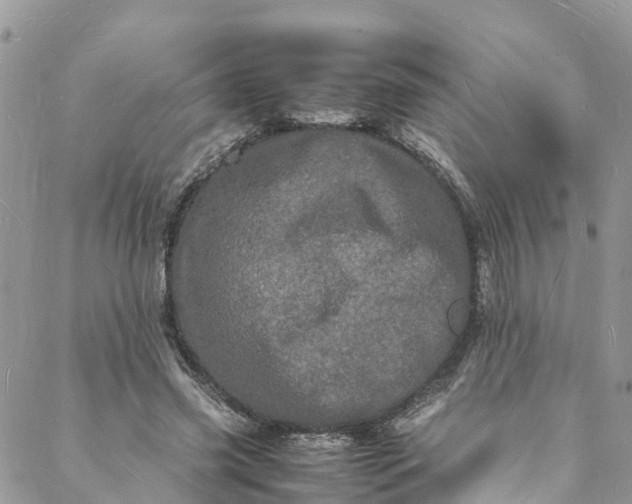 X0000088030541200705251119