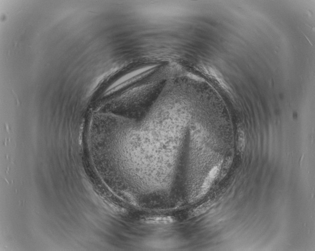 X0000088030543200705251119