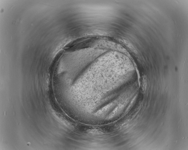 X0000088030544200705251119