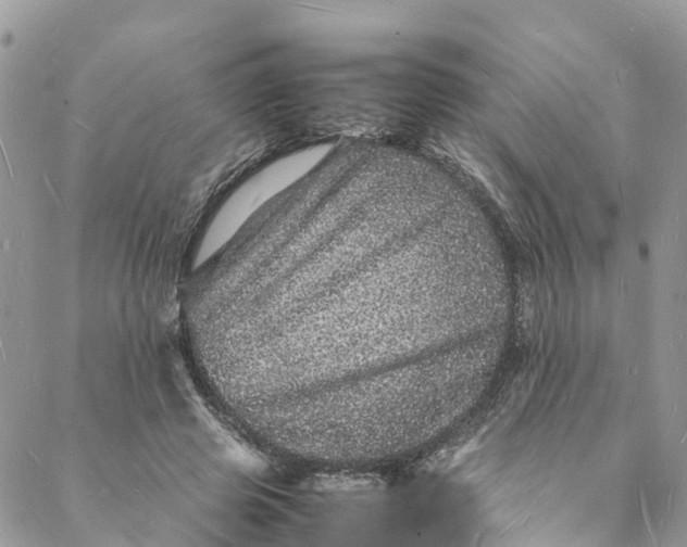 X0000088030545200705251119