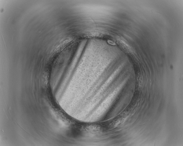 X0000088030546200705251119