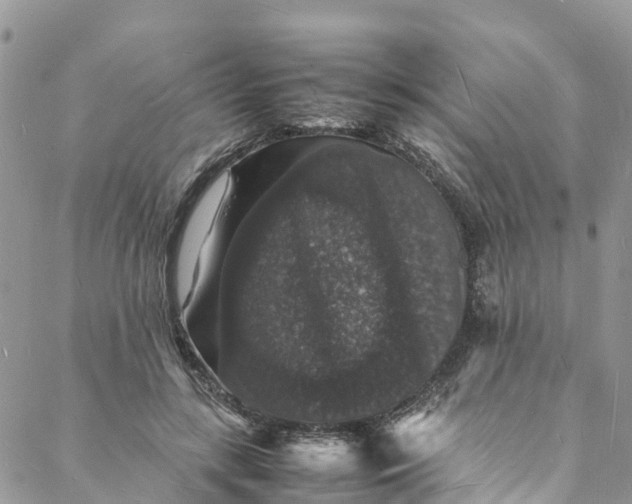 X0000088030547200705251119