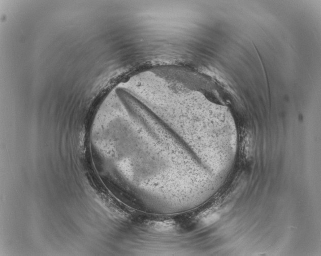 X0000088030548200705251119