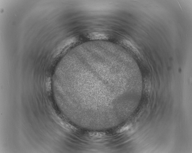 X0000088030549200705251119