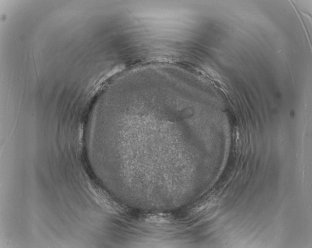 X0000088030550200705251119