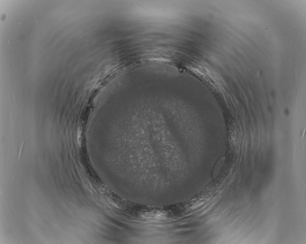 X0000088030551200705251119