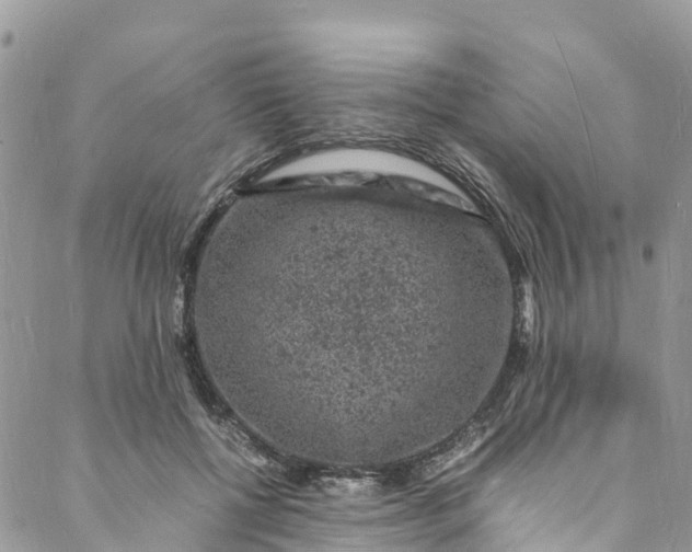 X0000088030552200705251119