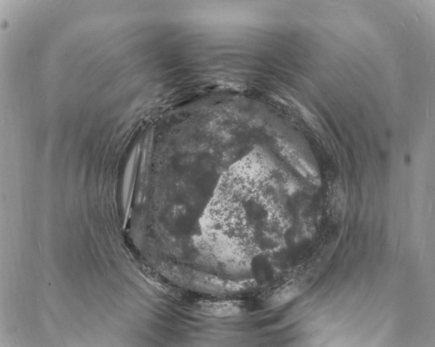 X0000088030553200705251119