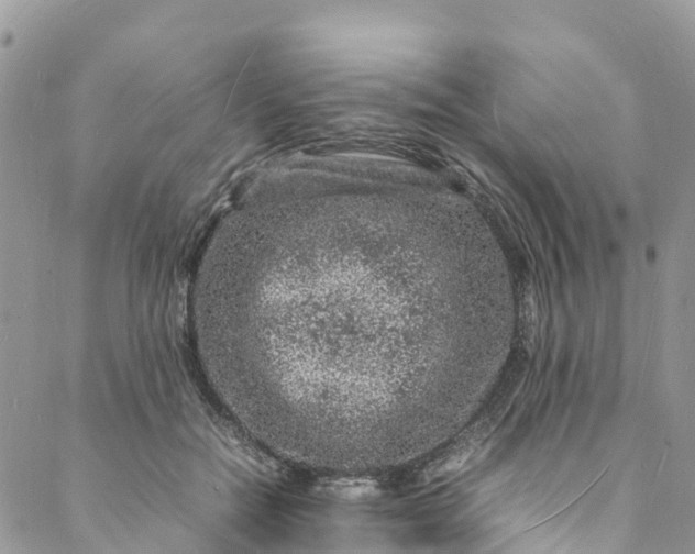 X0000088030554200705251119