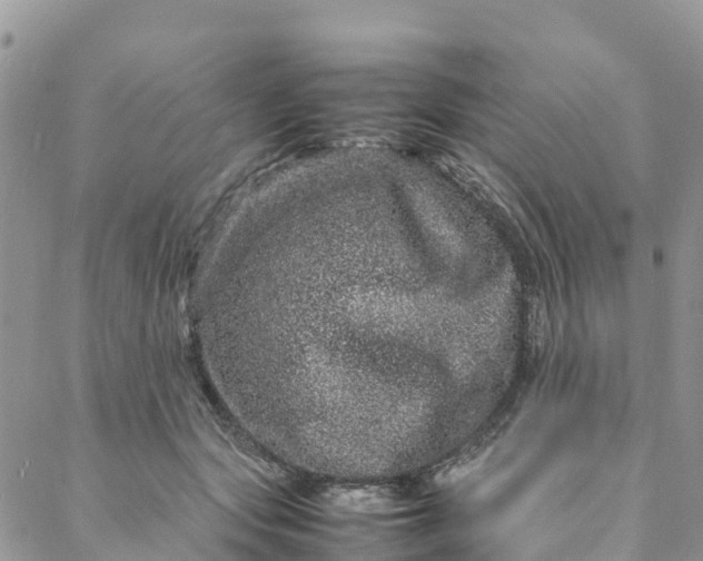 X0000088030557200705251119