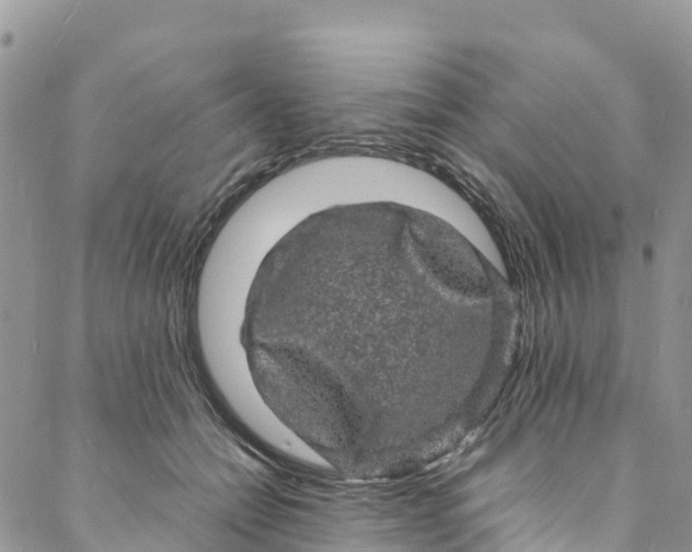 X0000088030558200705251119