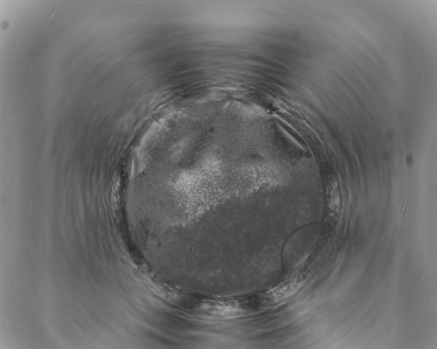 X0000088030559200705251119