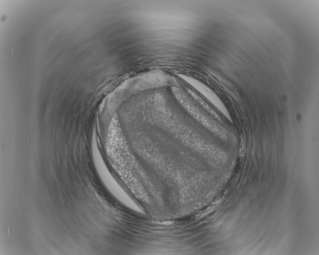 X0000088030560200705251119