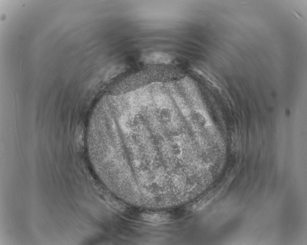 X0000088030561200705251119