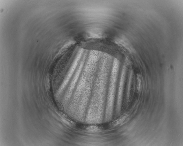 X0000088030562200705251119