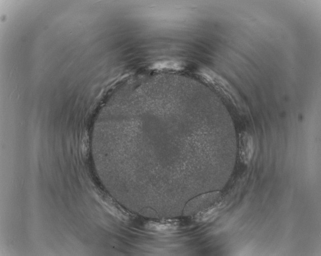 X0000088030563200705251119