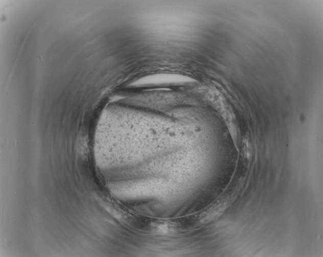 X0000088030564200705251119