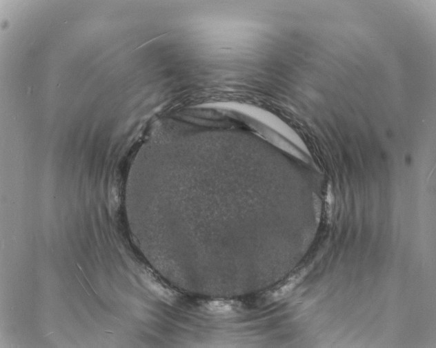 X0000088030566200705251119