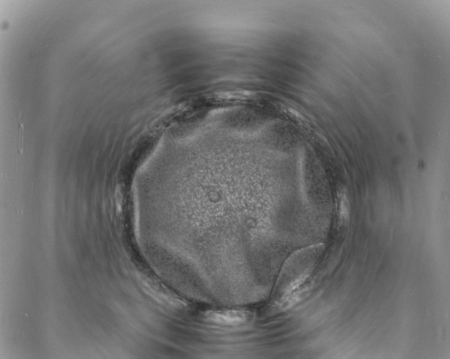 X0000088030567200705251119