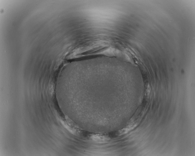 X0000088030568200705251119