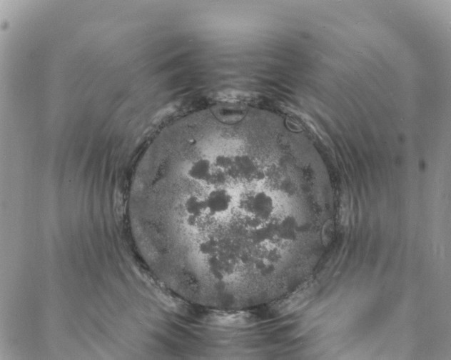 X0000088030569200705251119