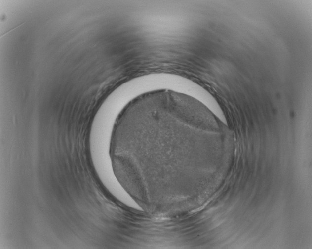 X0000088030570200705251119