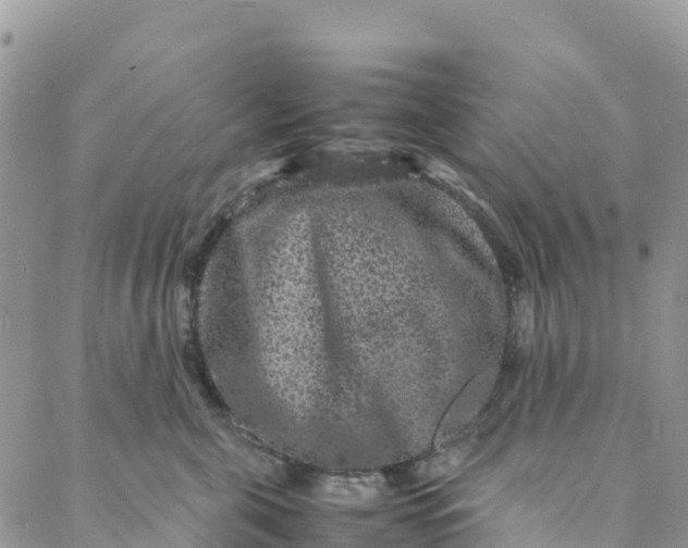 X0000088030571200705251119